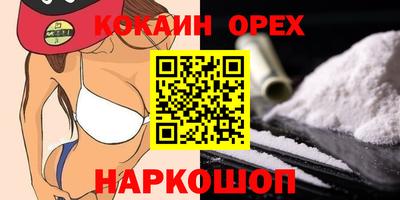 стаф Будённовск
