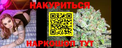 стаф Будённовск