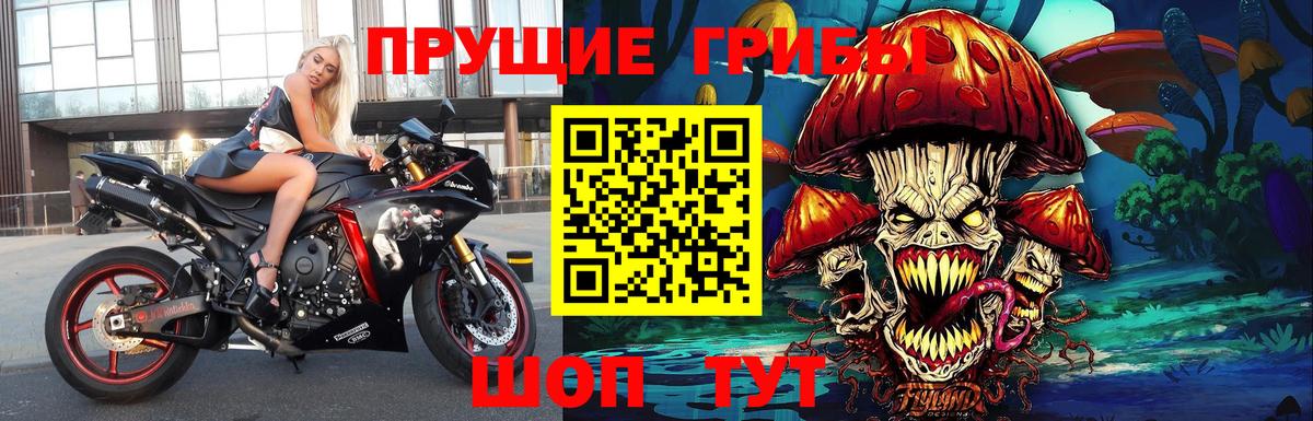 Солнечногорск  где найти   Вход с VPN  Псилоцибиновые грибы прущие грибы 
